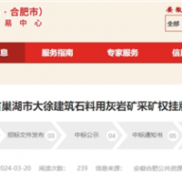 年產(chǎn)砂石980萬(wàn)噸!安徽儲(chǔ)量超億噸大礦5億起拍