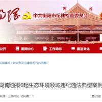 超時、超量、越界采砂！湖南通報6起生態環境領域違紀違法典型案例 2起與砂石有關！