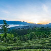 500萬噸/年！湖北儲量約1.12億噸建筑用花崗巖礦擬掛牌出讓