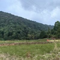 375萬噸/年！江西宜春國企競得當?shù)鼗規(guī)r礦